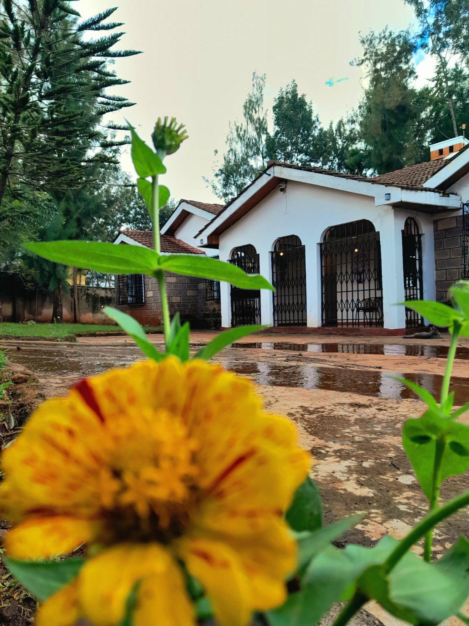 Hostel Indovu Back Packers *