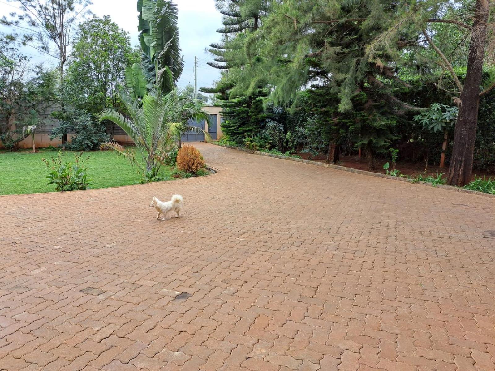 Spacious Away From Home- Runda Guest house