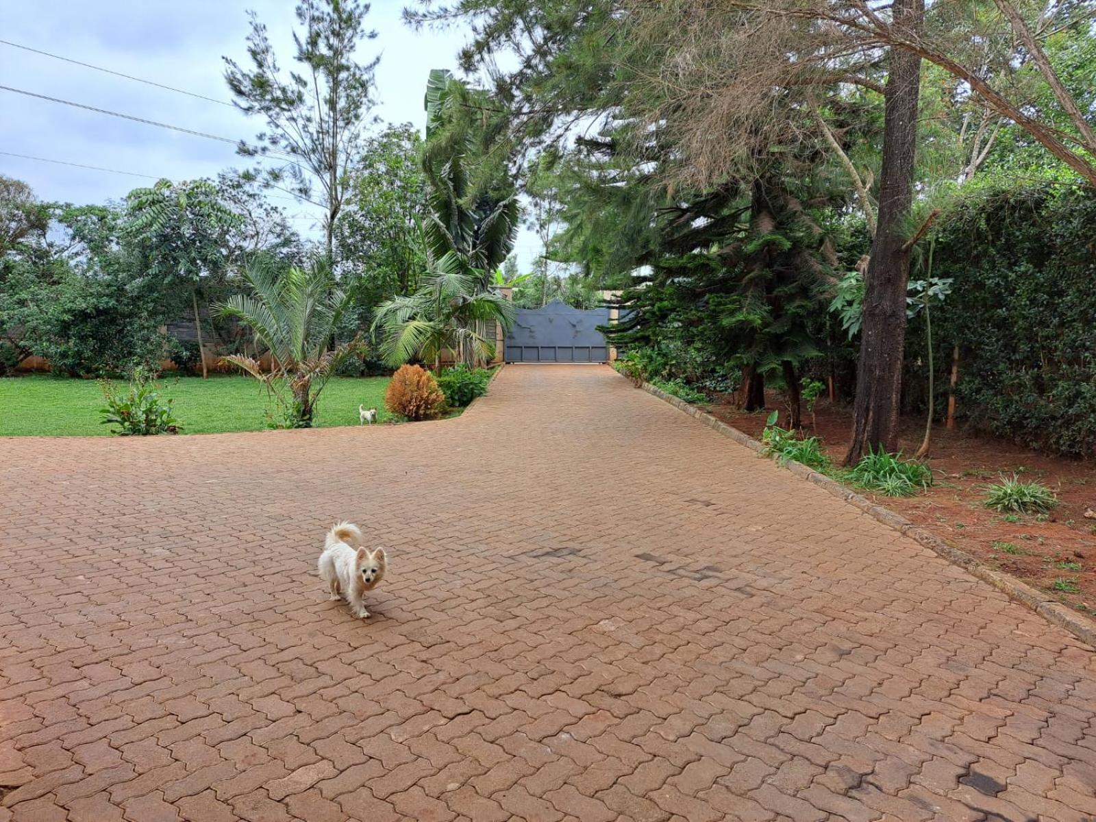Spacious Away From Home- Runda *