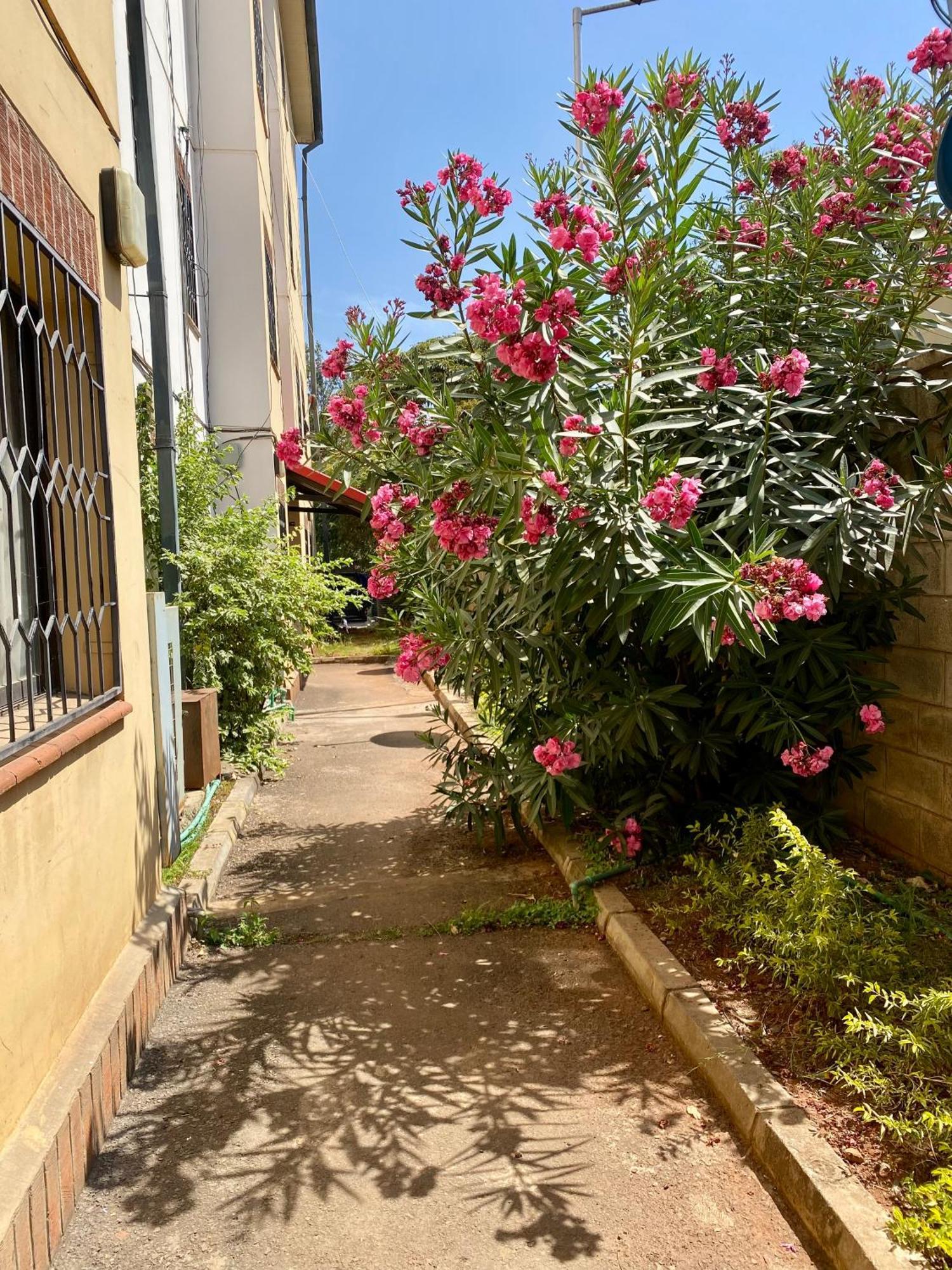 Kb One Bedroom Furnished Nairobi
