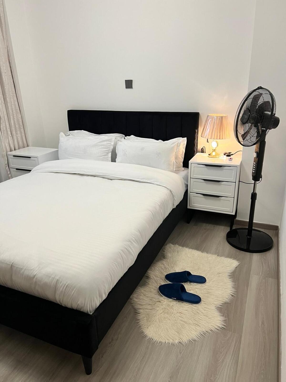 Fancy Luxury Homes Apartment