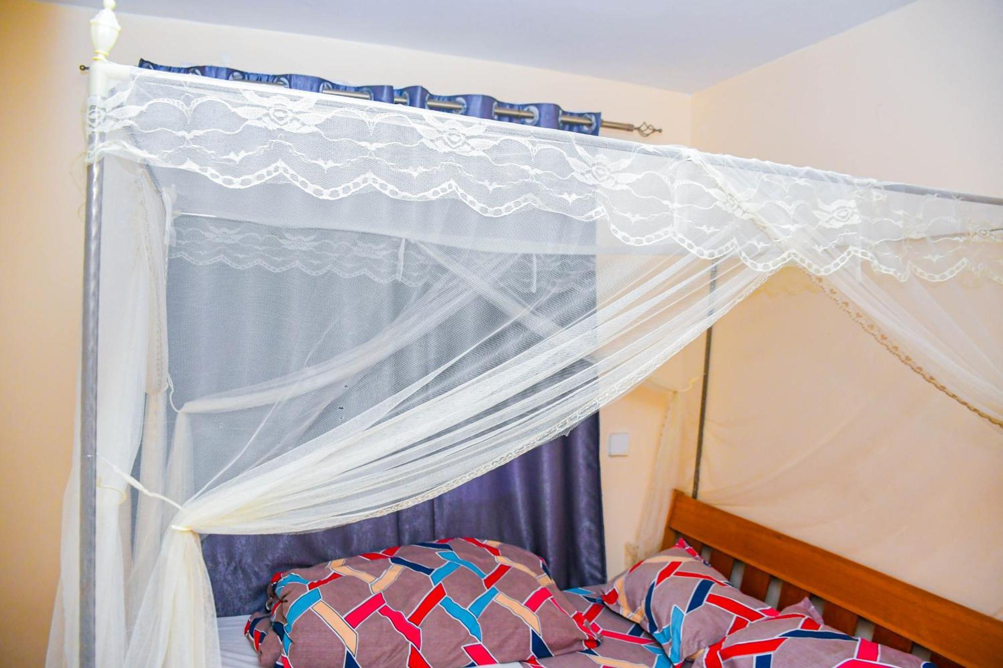 Apartment Elyon One Bedroom Furnished In Kasarani,nairobi