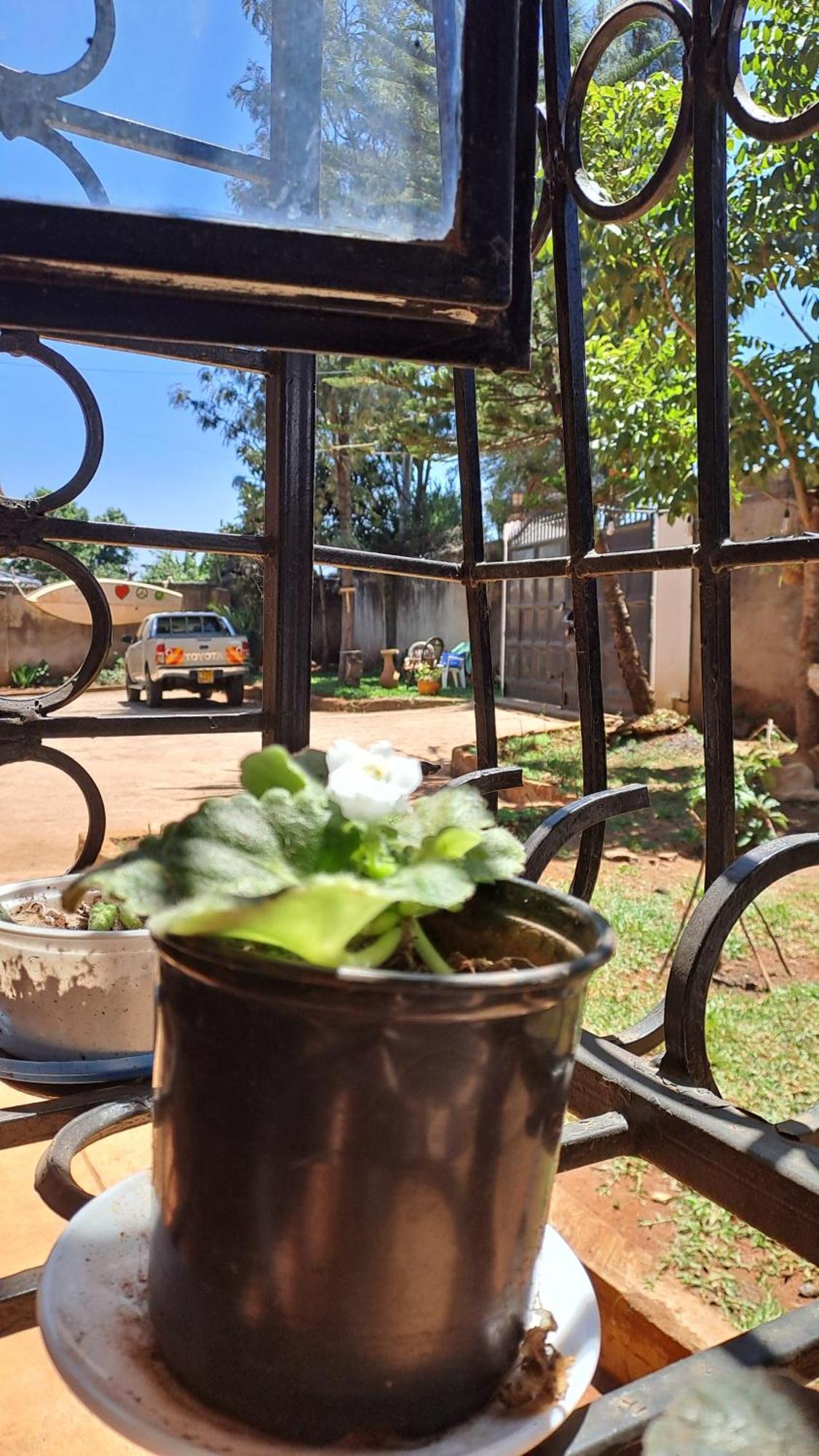 Indovu Back Packers Nairobi