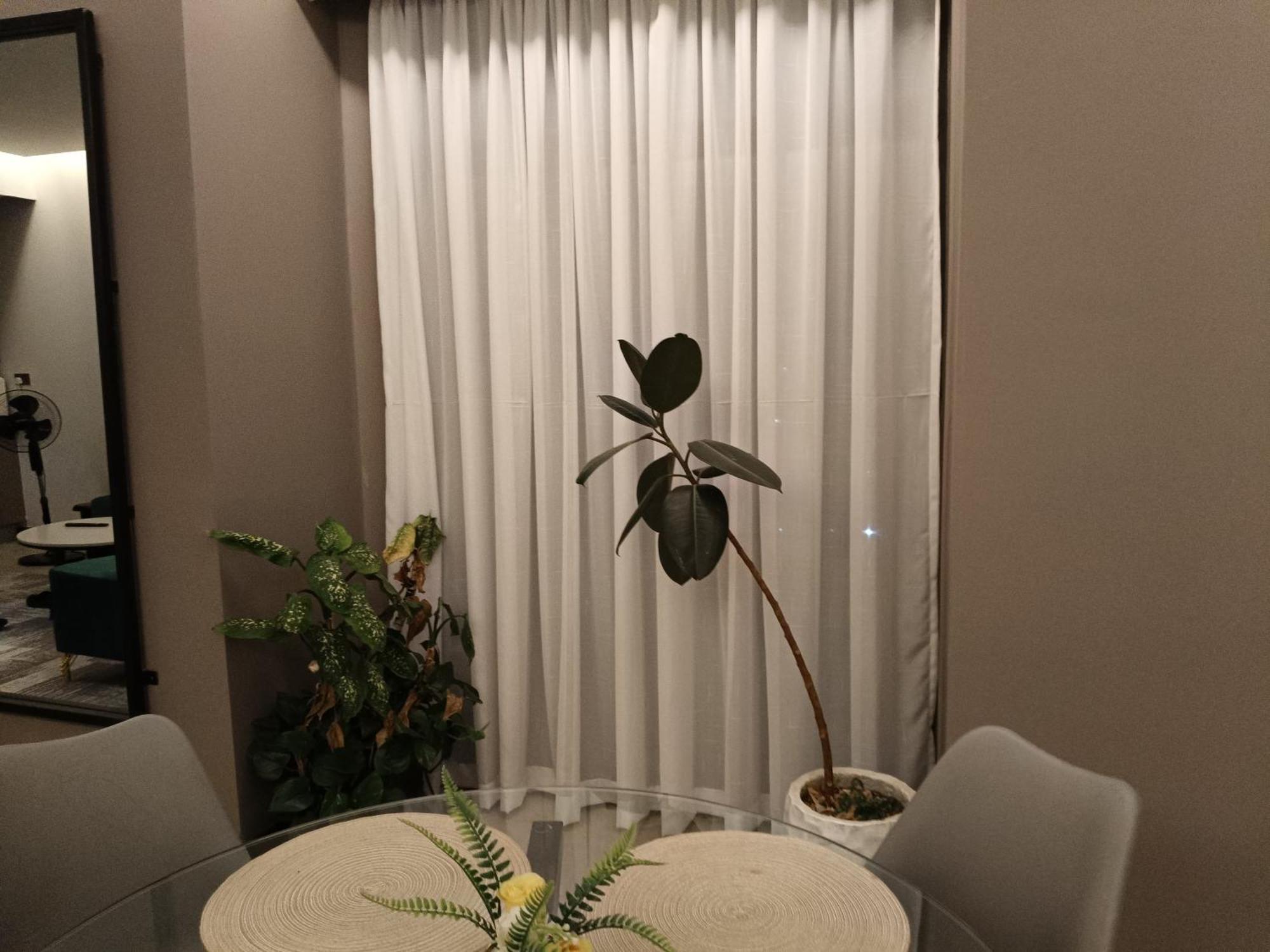 Urban Nest Apartment