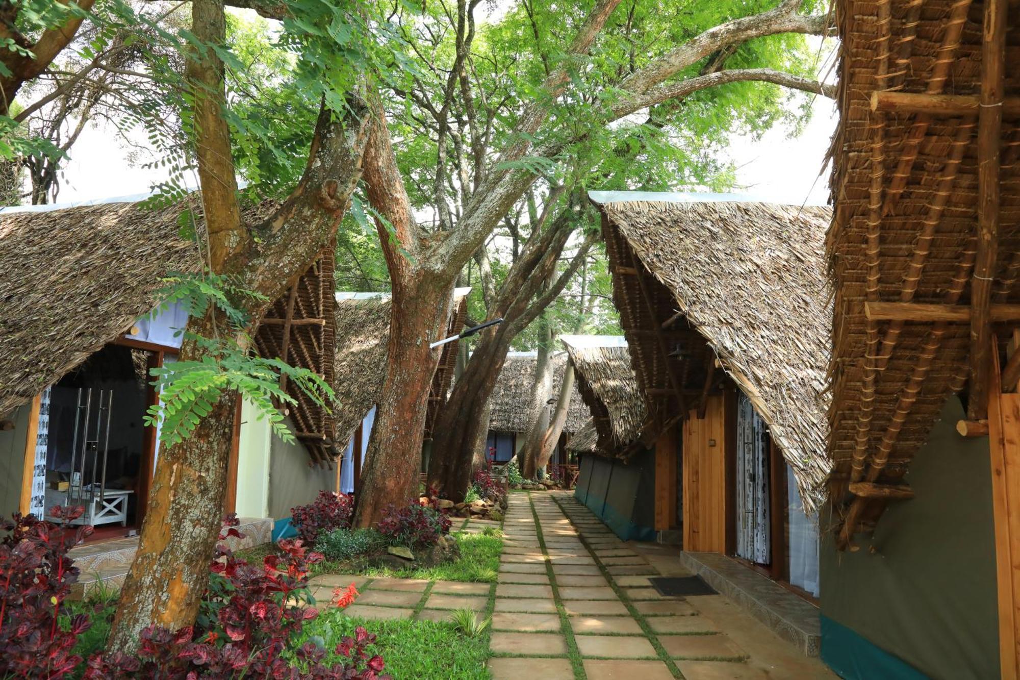 Luxury tent The Giraffe Nairobi