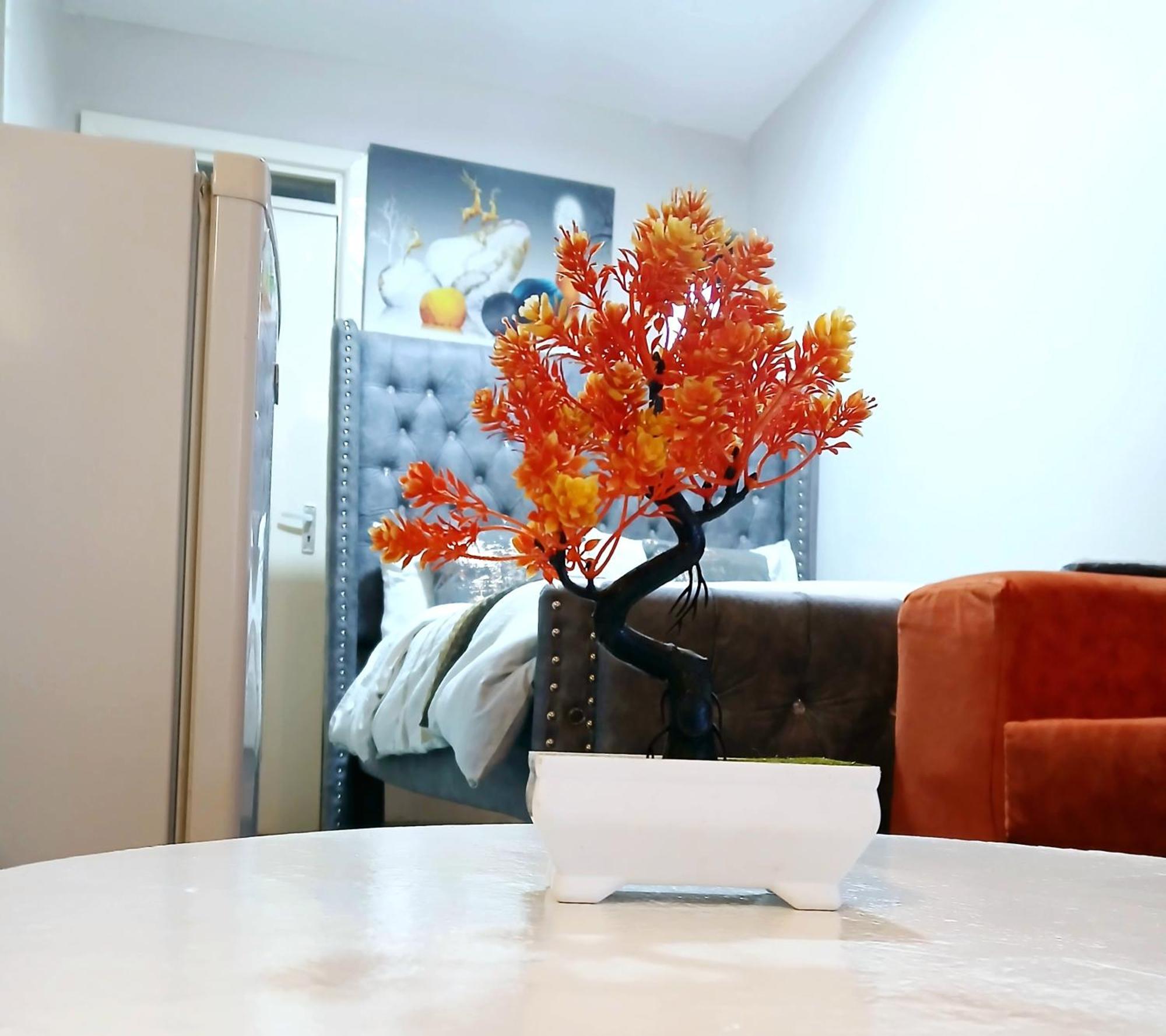 Apartment Cozy Nairobi