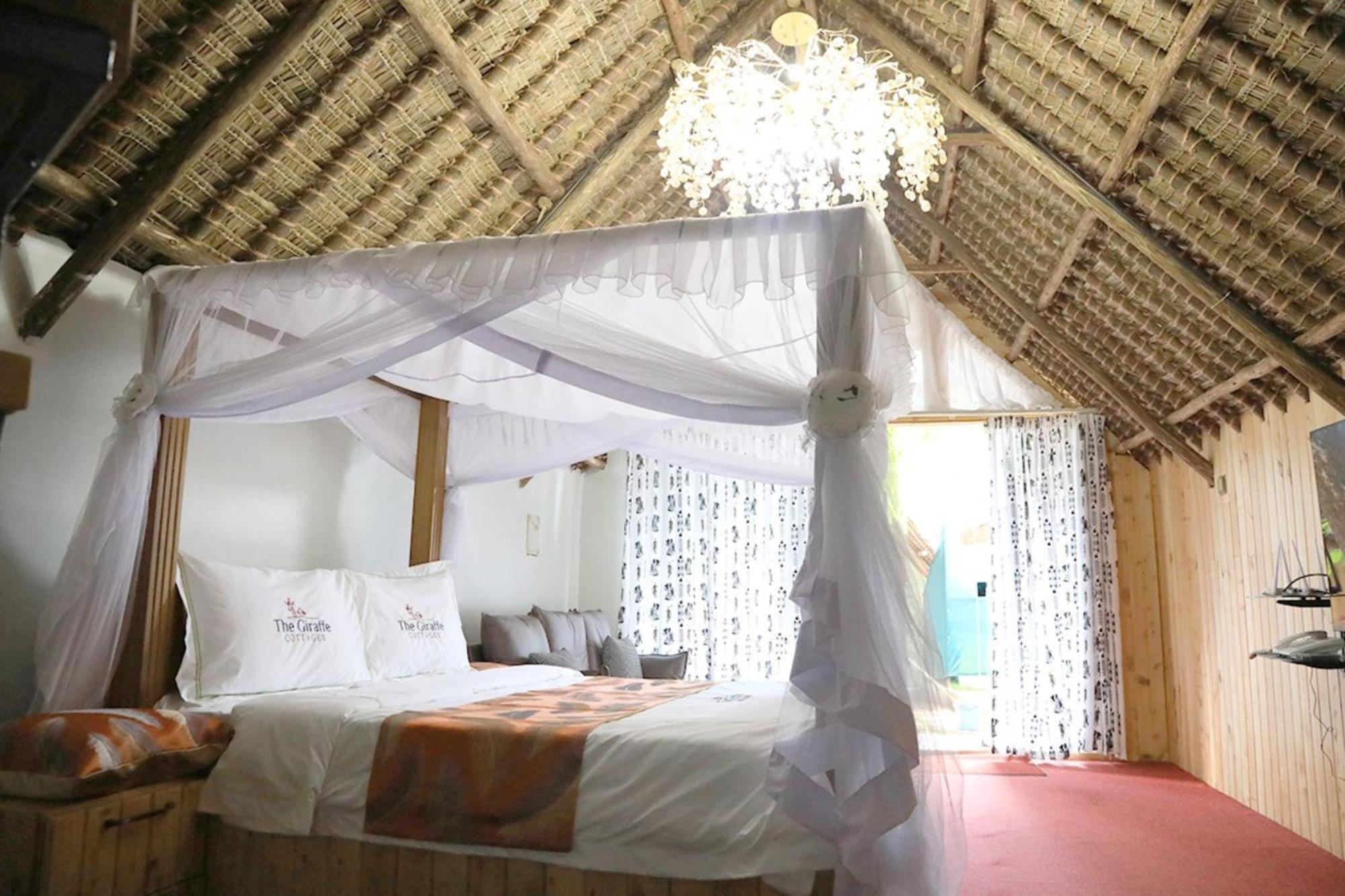 The Giraffe Nairobi