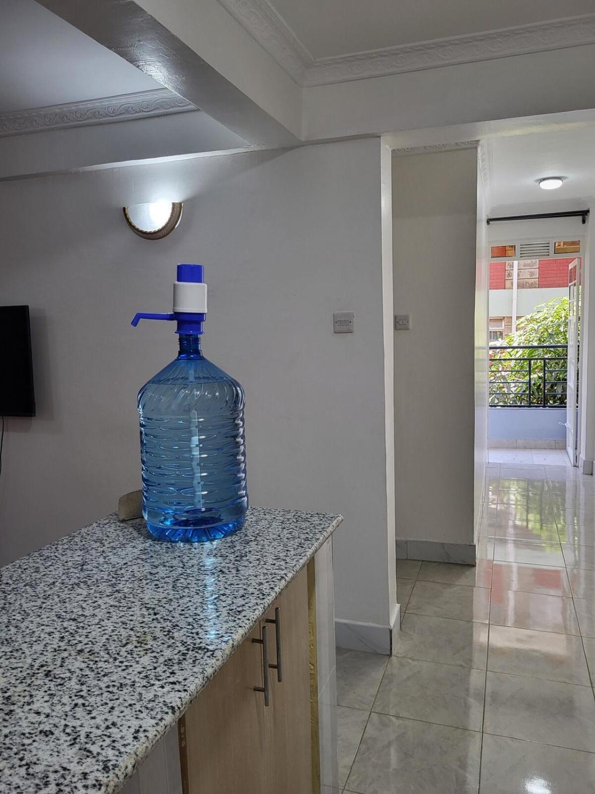 Apartment 1 Bdr 10 Mins To Thika Road Mall Trm Nairobi