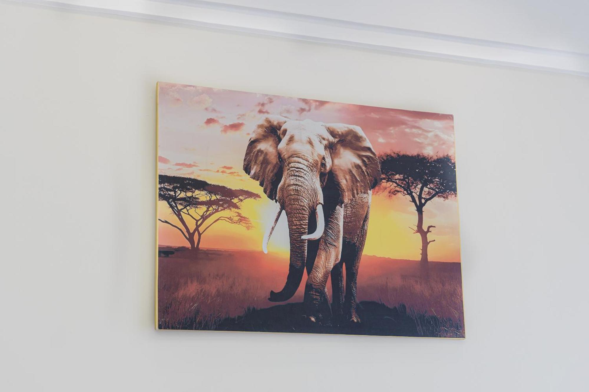 Ultimate Safari Retreat *