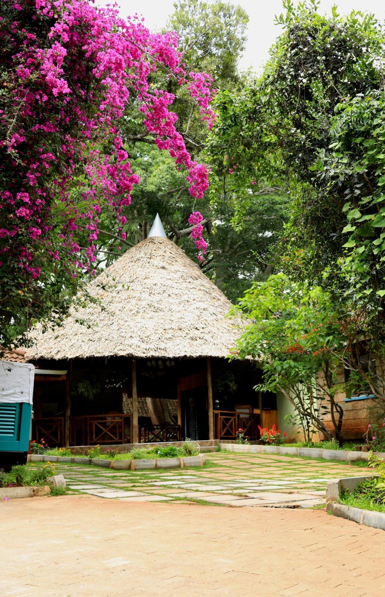 Luxury tent The Giraffe Nairobi