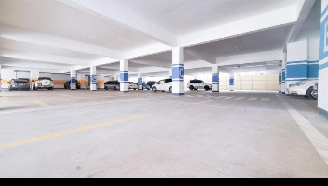 Apartment Plushy Nivla Haven With Pool,gym And Mini Mart Yaya