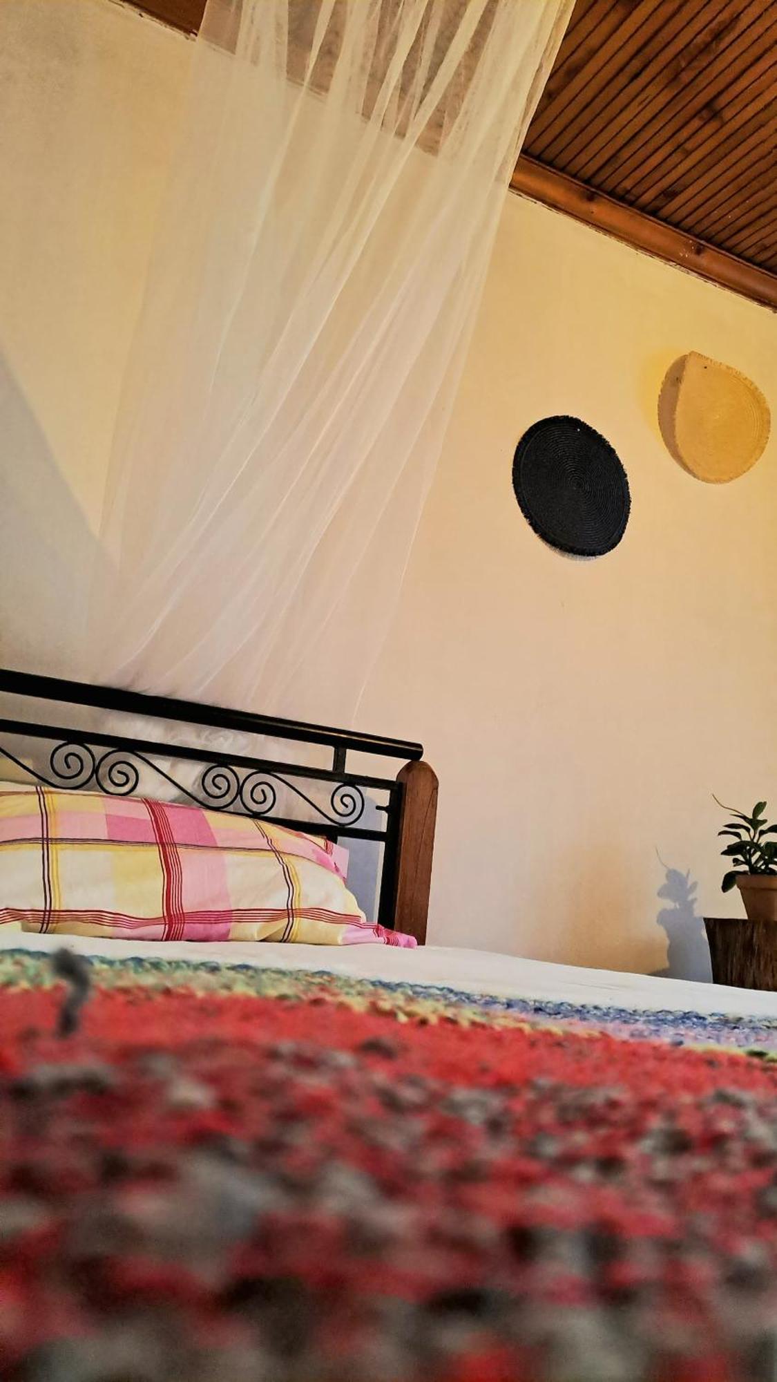 Indovu Back Packers Nairobi
