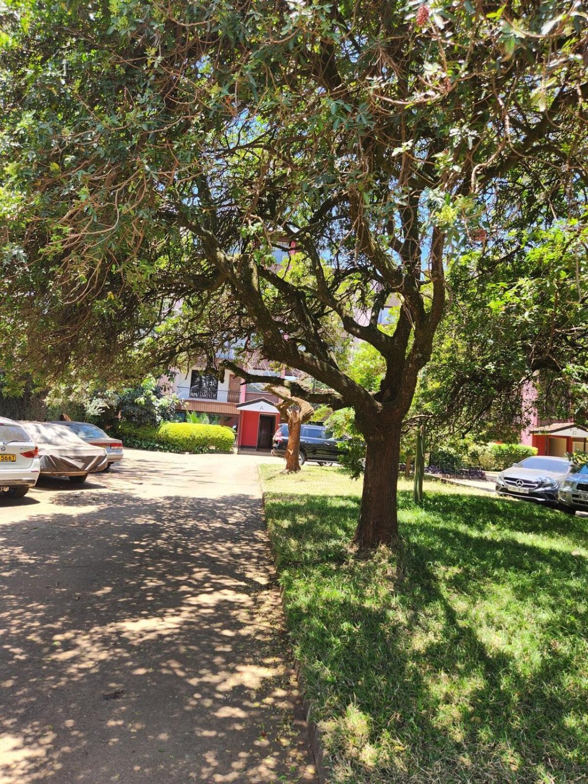 Apartment The Homely Spot, Westlands