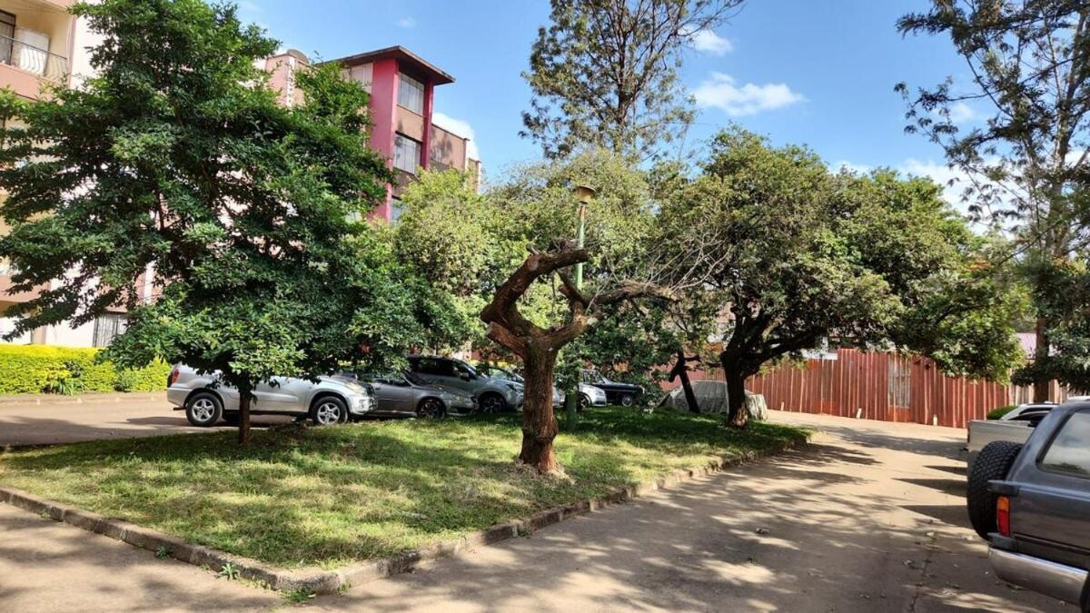 Apartment The Homely Spot, Westlands *