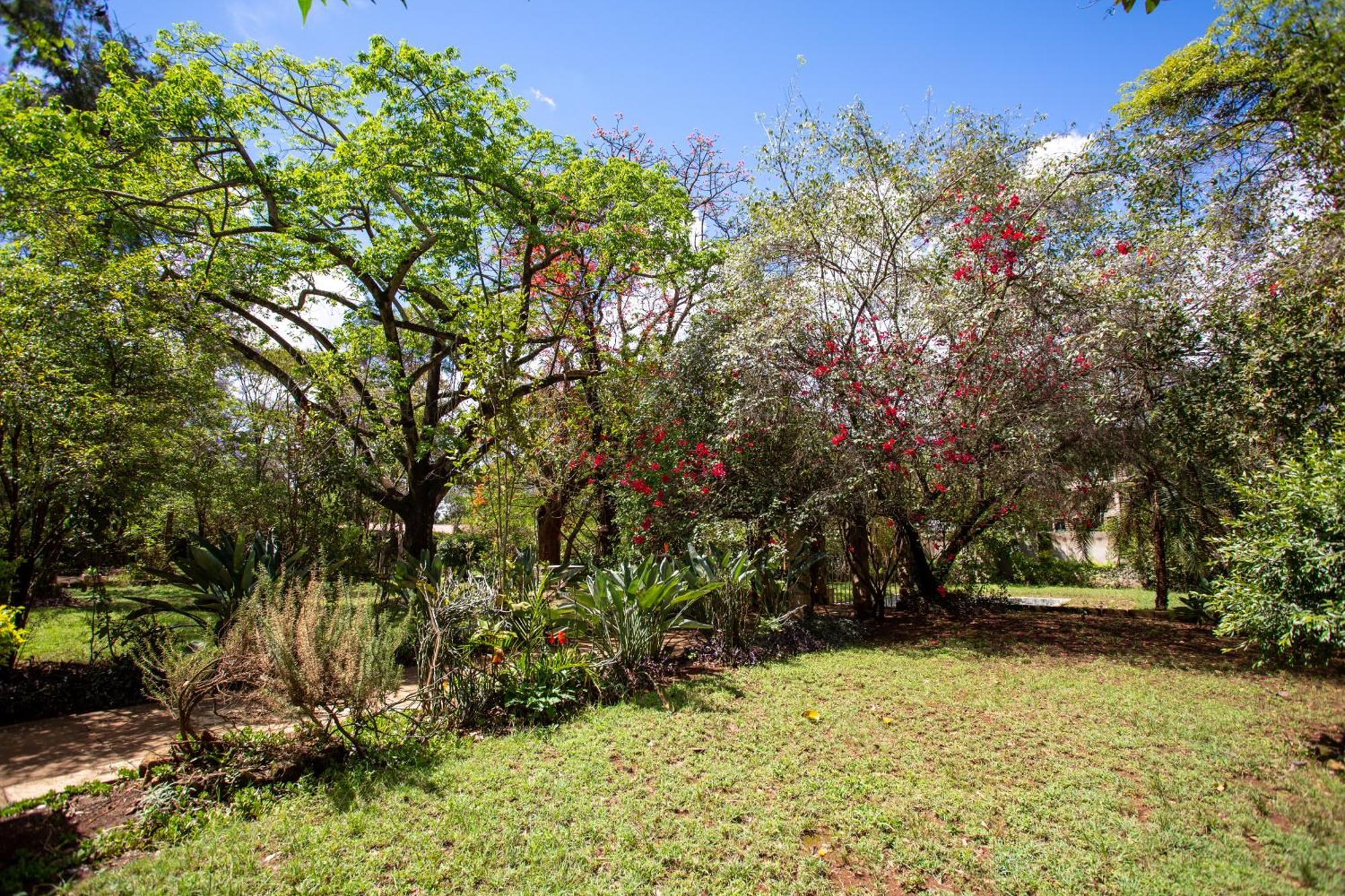 Yarkona Hedge *