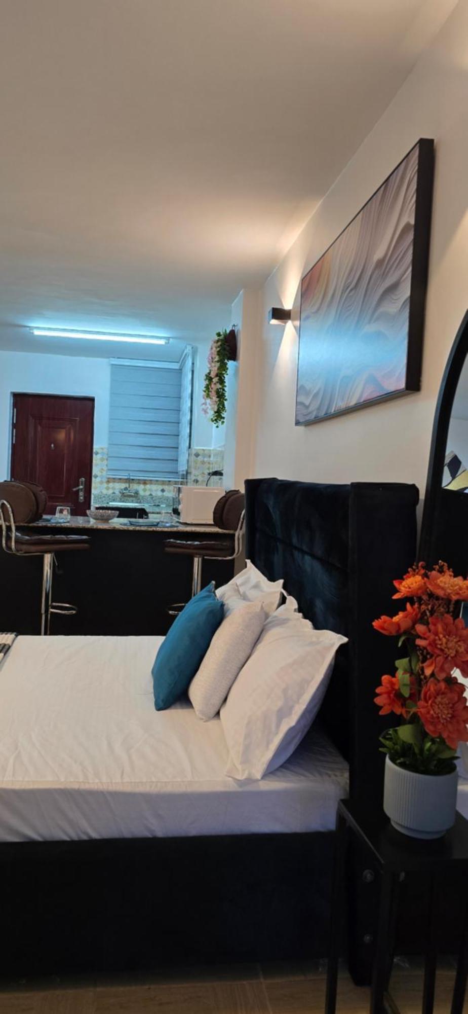 Serene And Spacious Near Un Apartment