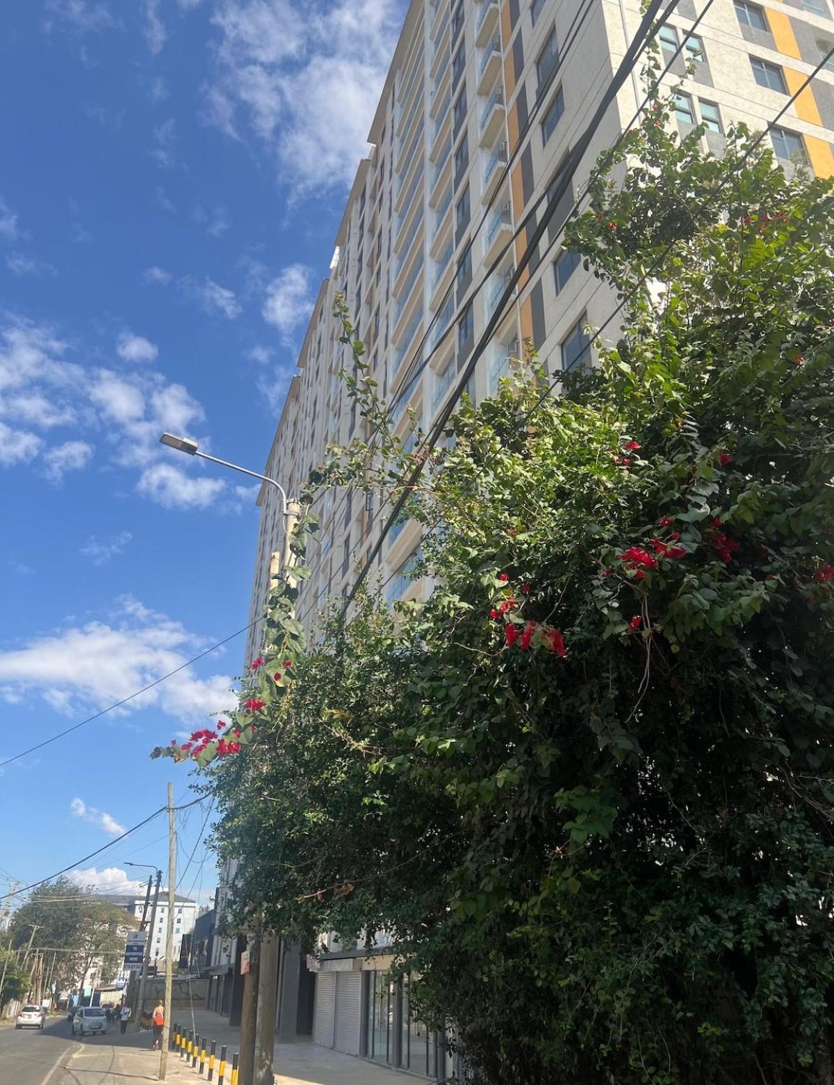 Apartment 2 Bedrooms 2 Bathrooms Kilimani