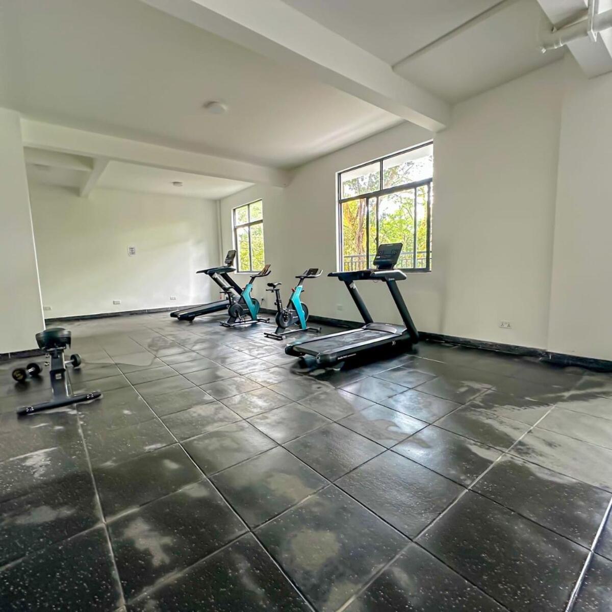 Skyline Cityviews,gym , 109 Riverside -westlands *
