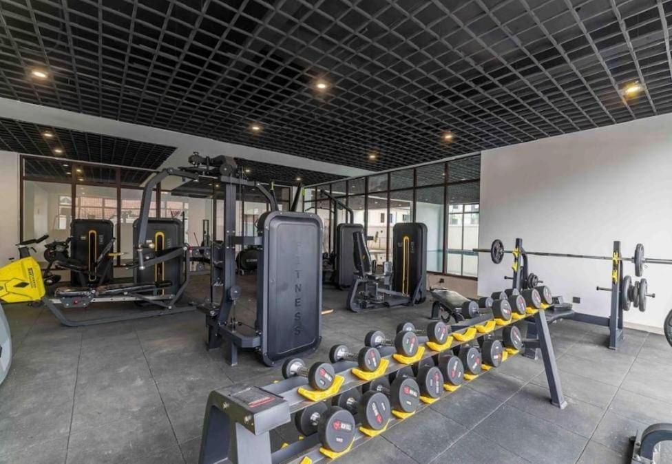 Apartment Zazi Luxury
