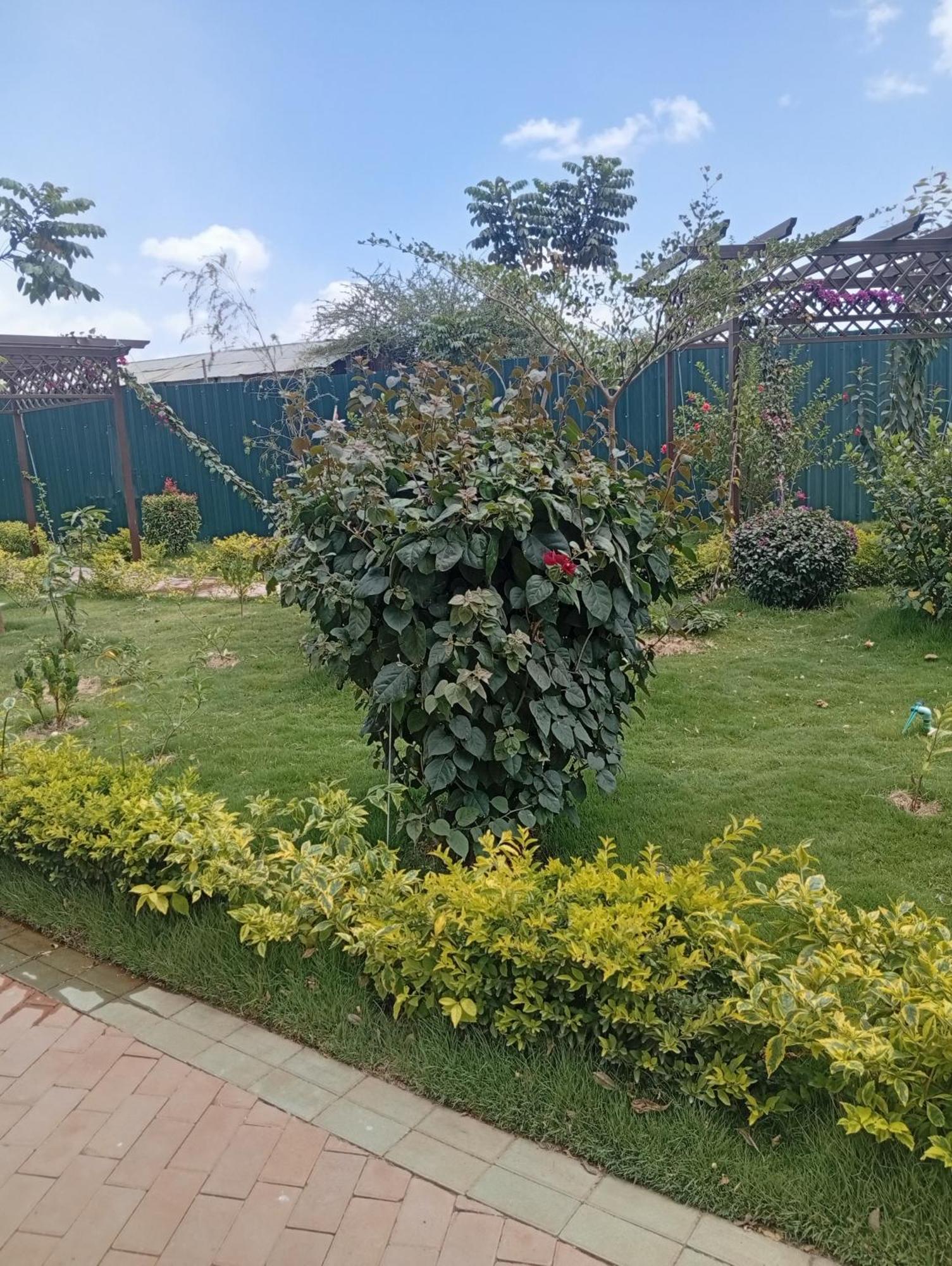 Apartment Cozy Homes Sabaki3 *