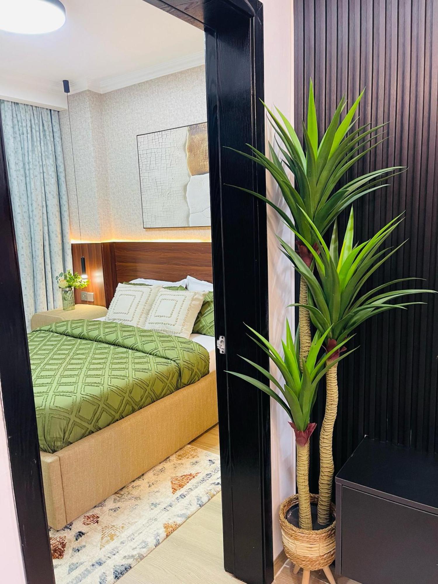 Executive 1 Bedroom Near National Park *
