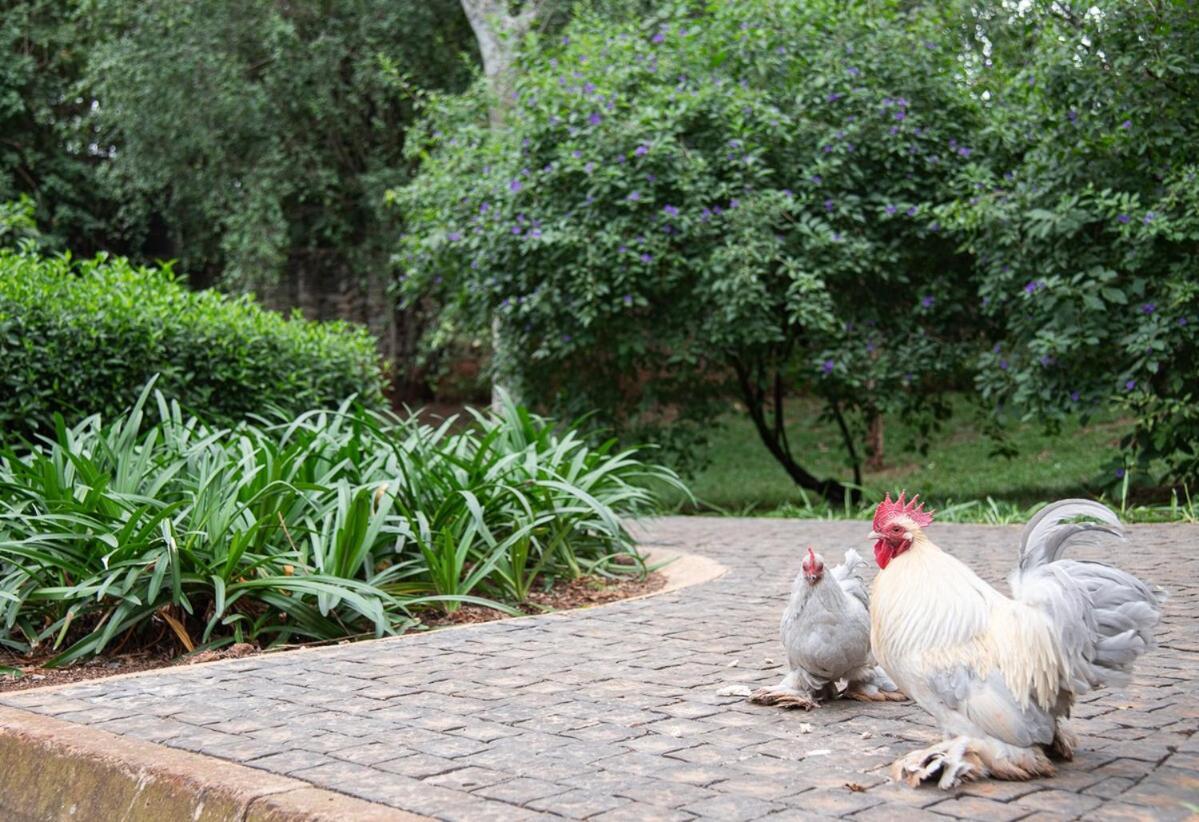 Stunning Guest In Tranquil Setting *