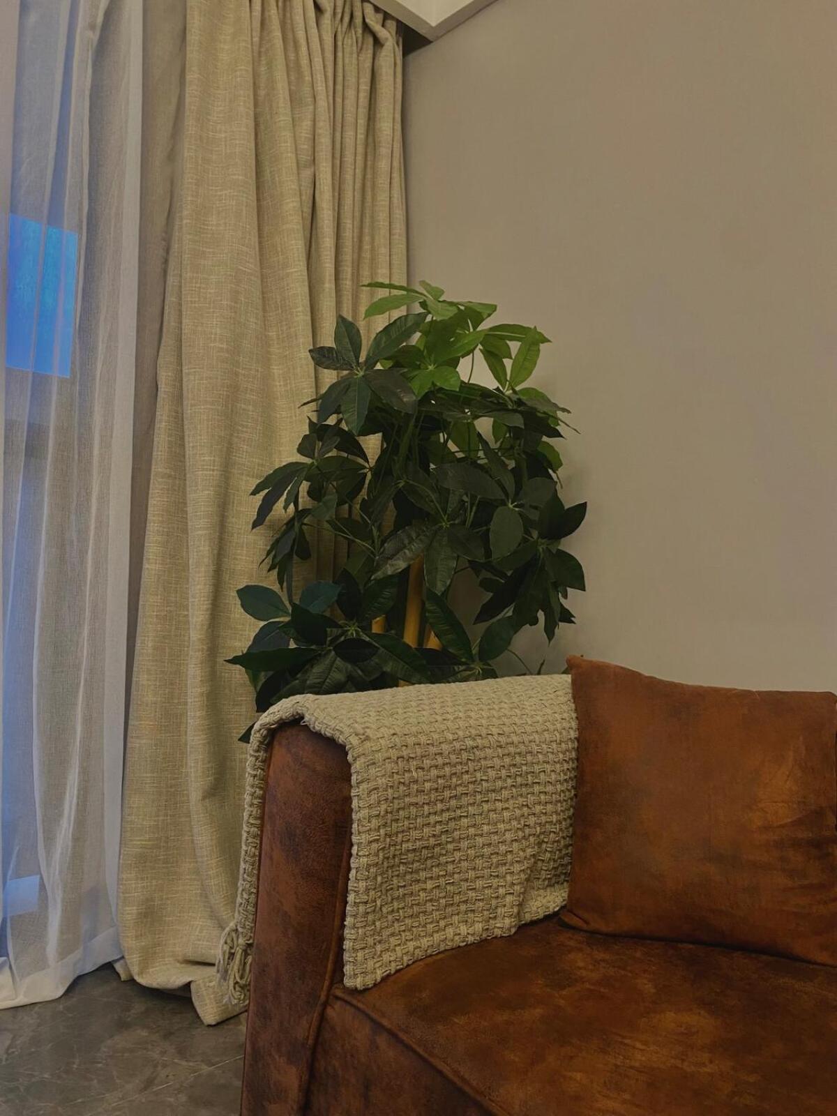 Apartment Stylish Urban Escape *