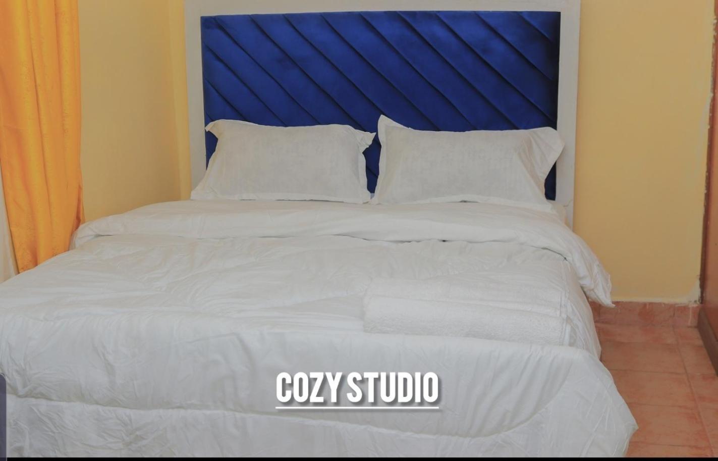 Apartment Wanja Cozy Nairobi