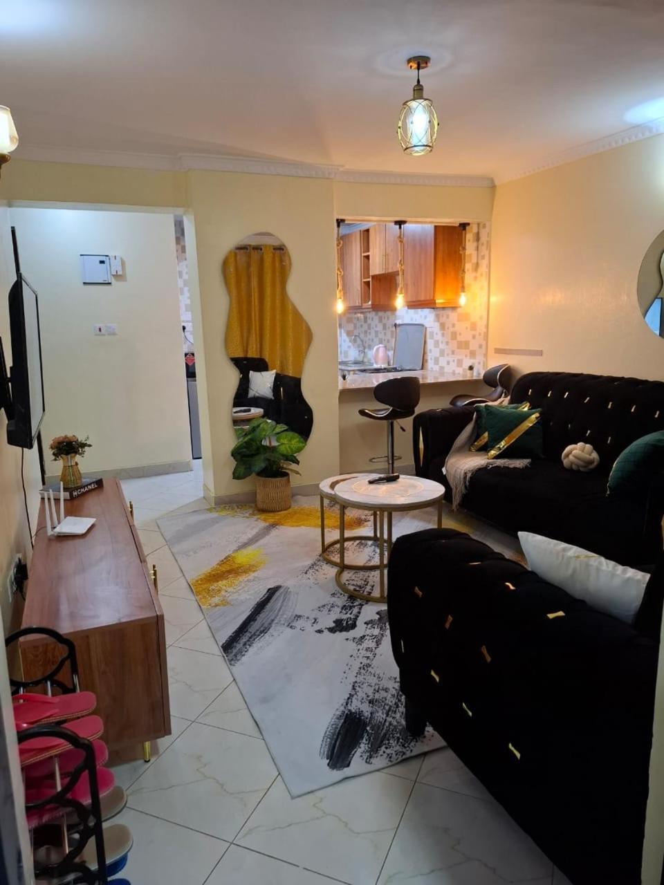 Executive Two Bedroom Master Ensuite Mirema Drive Apartment Nairobi