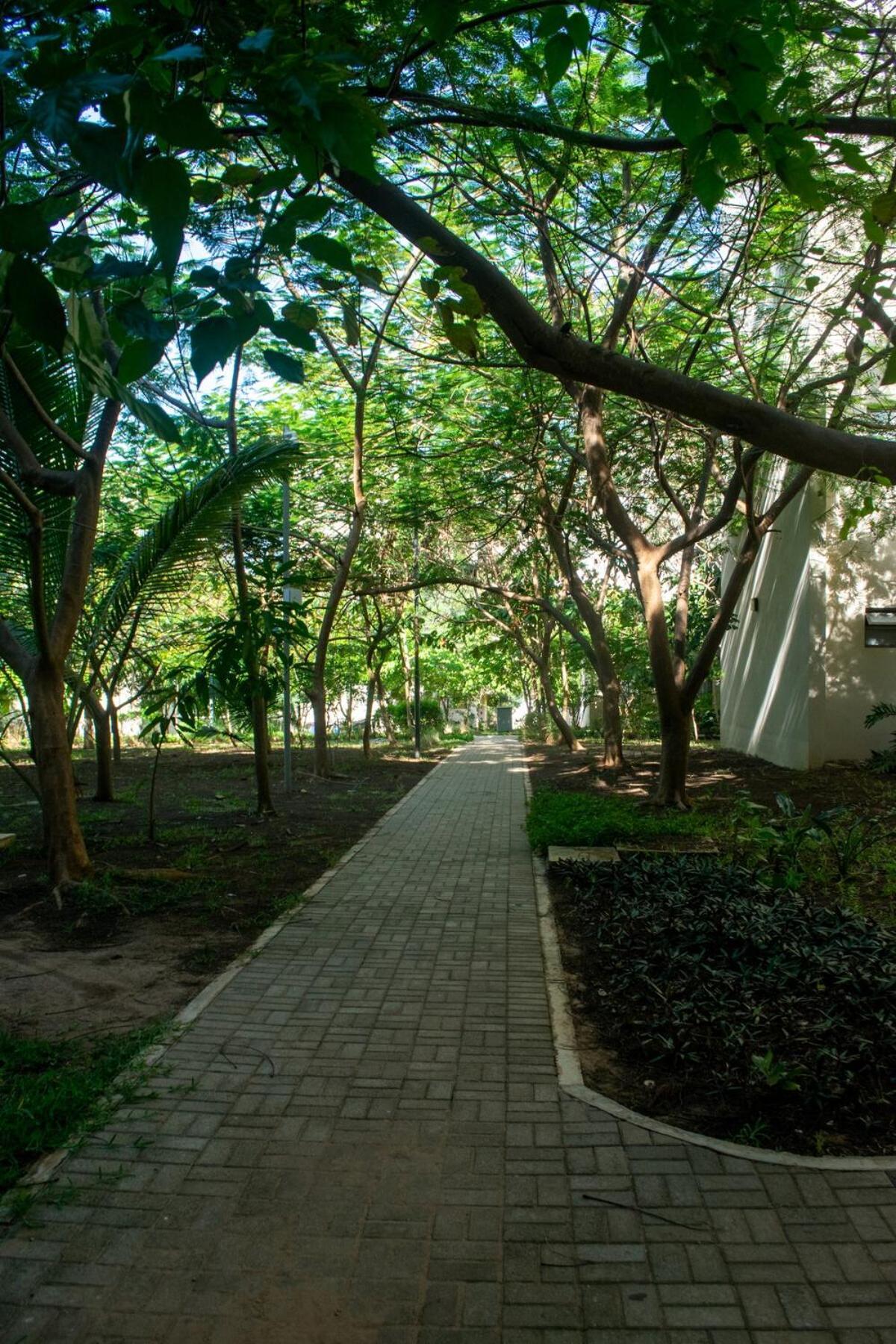 Apartment Comfortable 3bdr In Vipingo