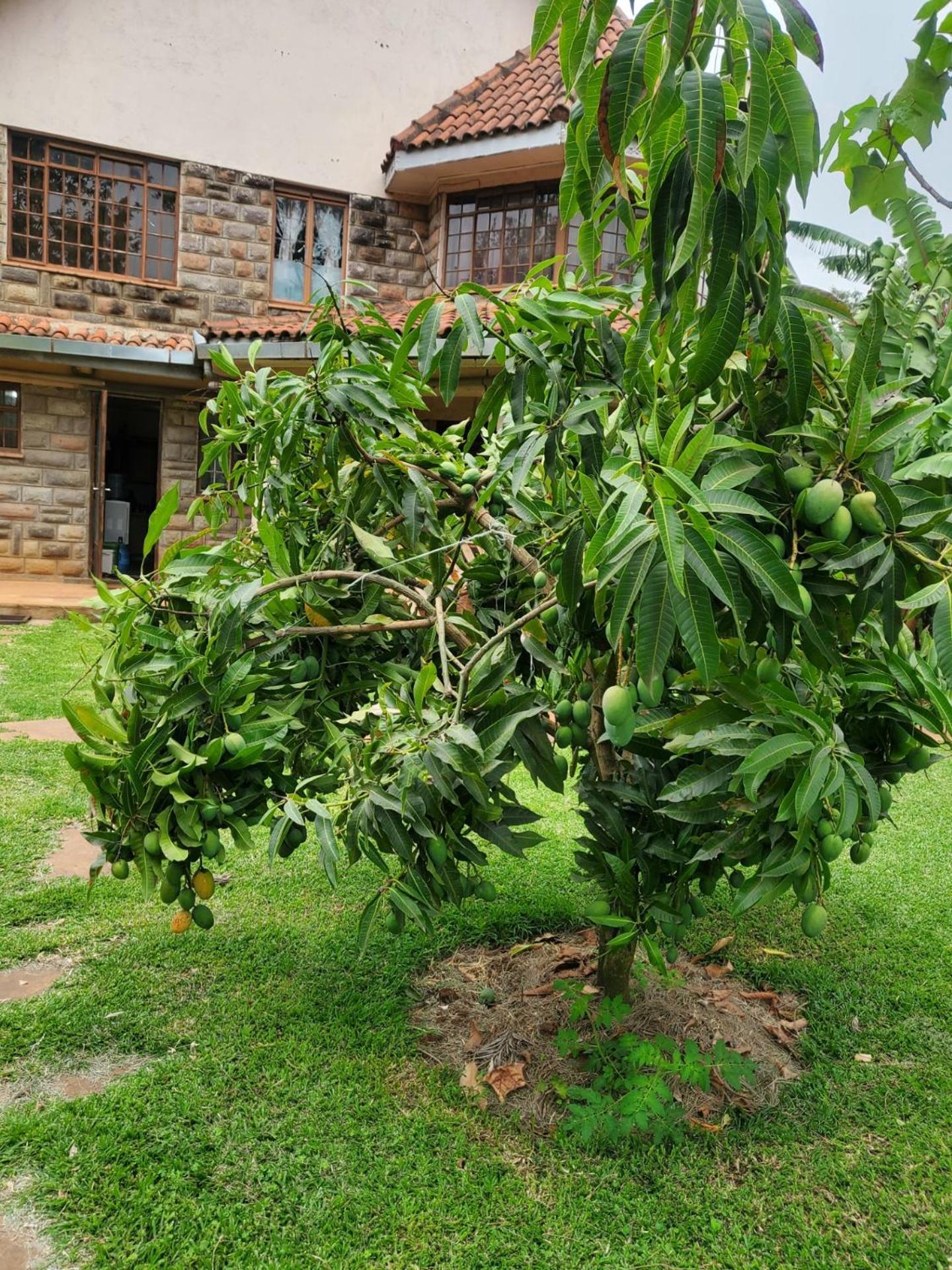 Edaala Comfort - Guest house *