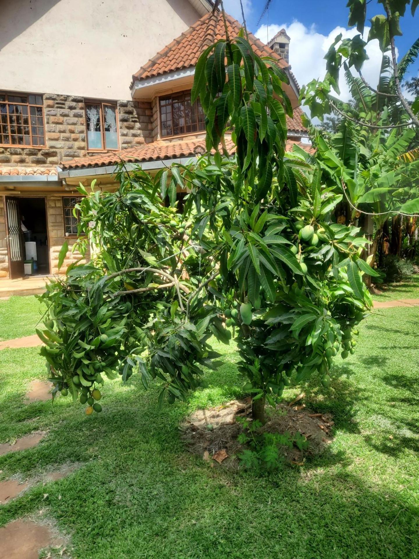 Edaala Comfort - * Nairobi