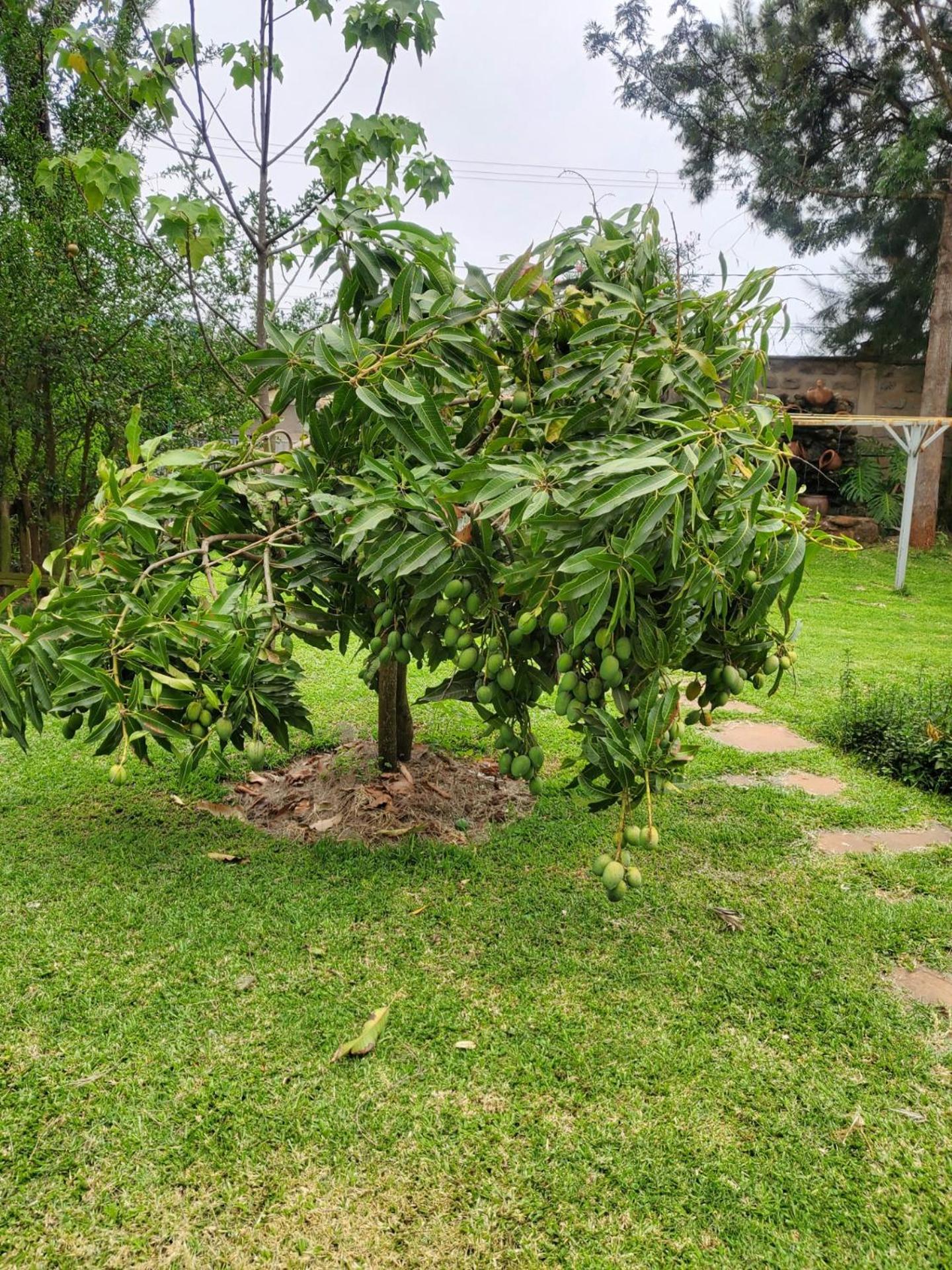 Edaala Comfort - Guest house