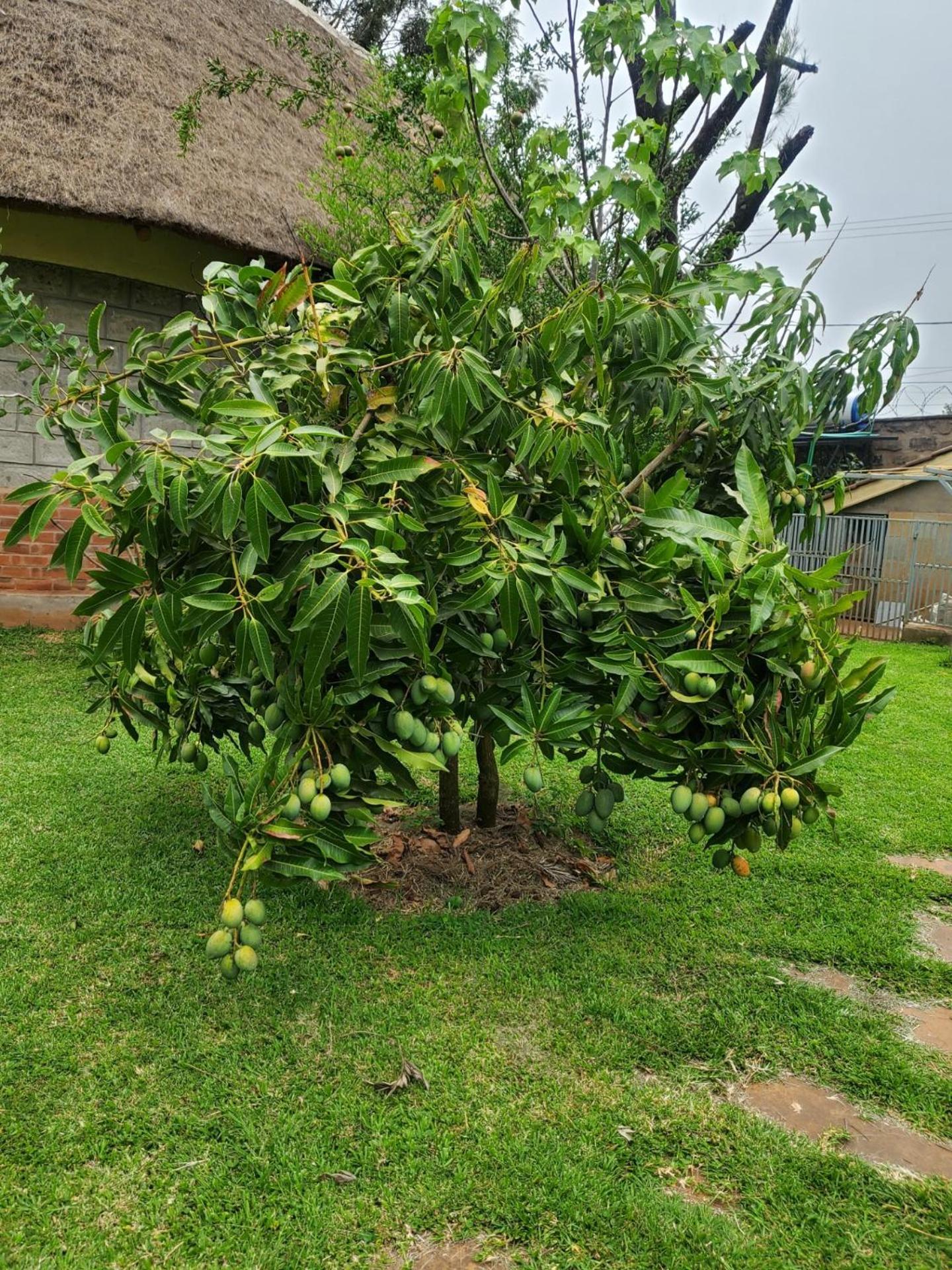 Edaala Comfort - Nairobi