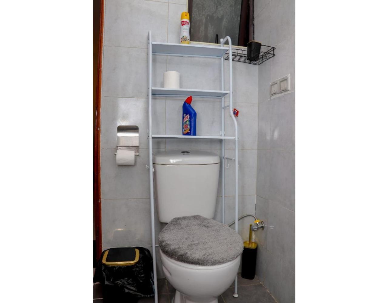 Apartment Luxore