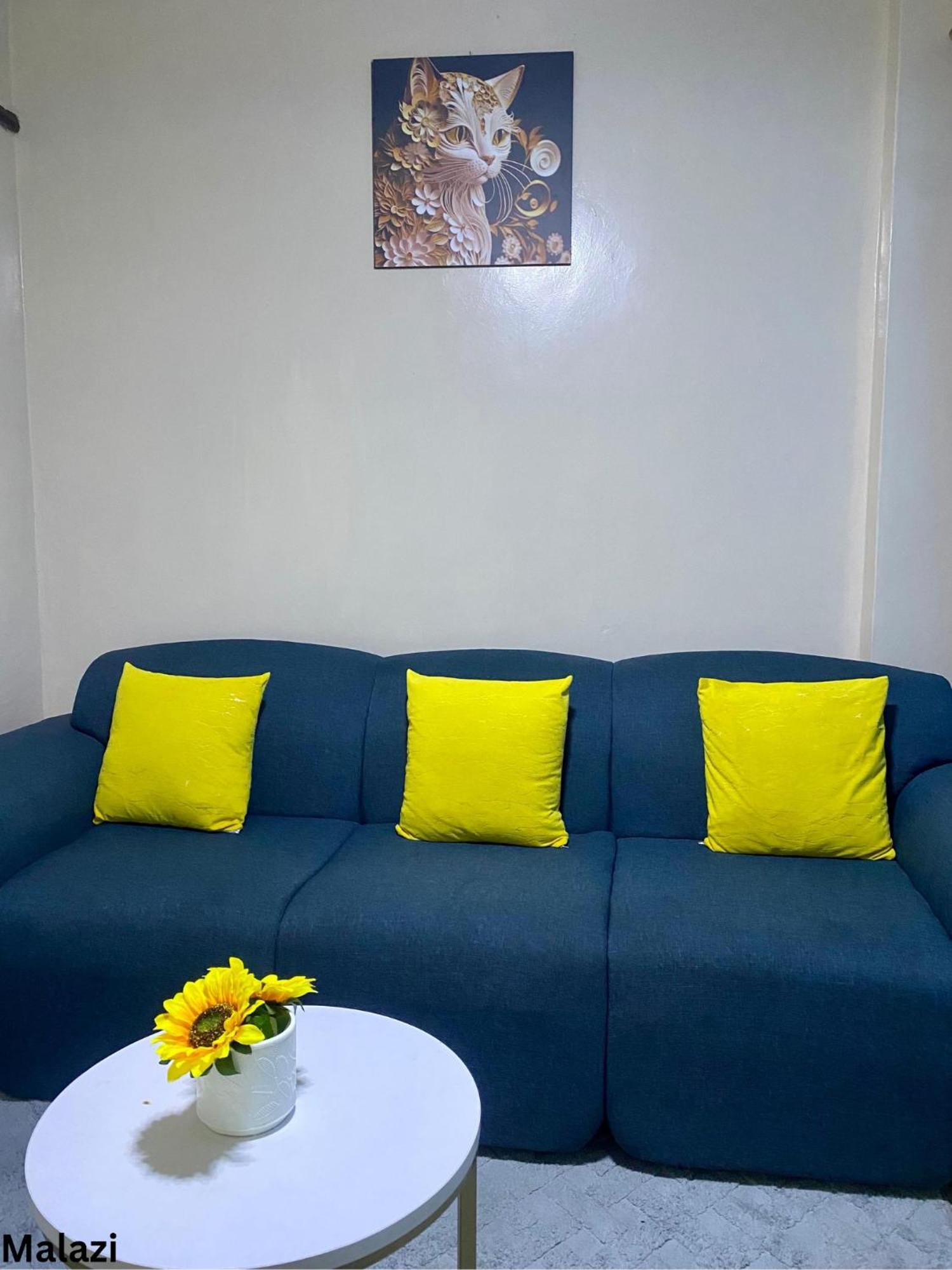 Apartment Malazi Airbnb- South B *
