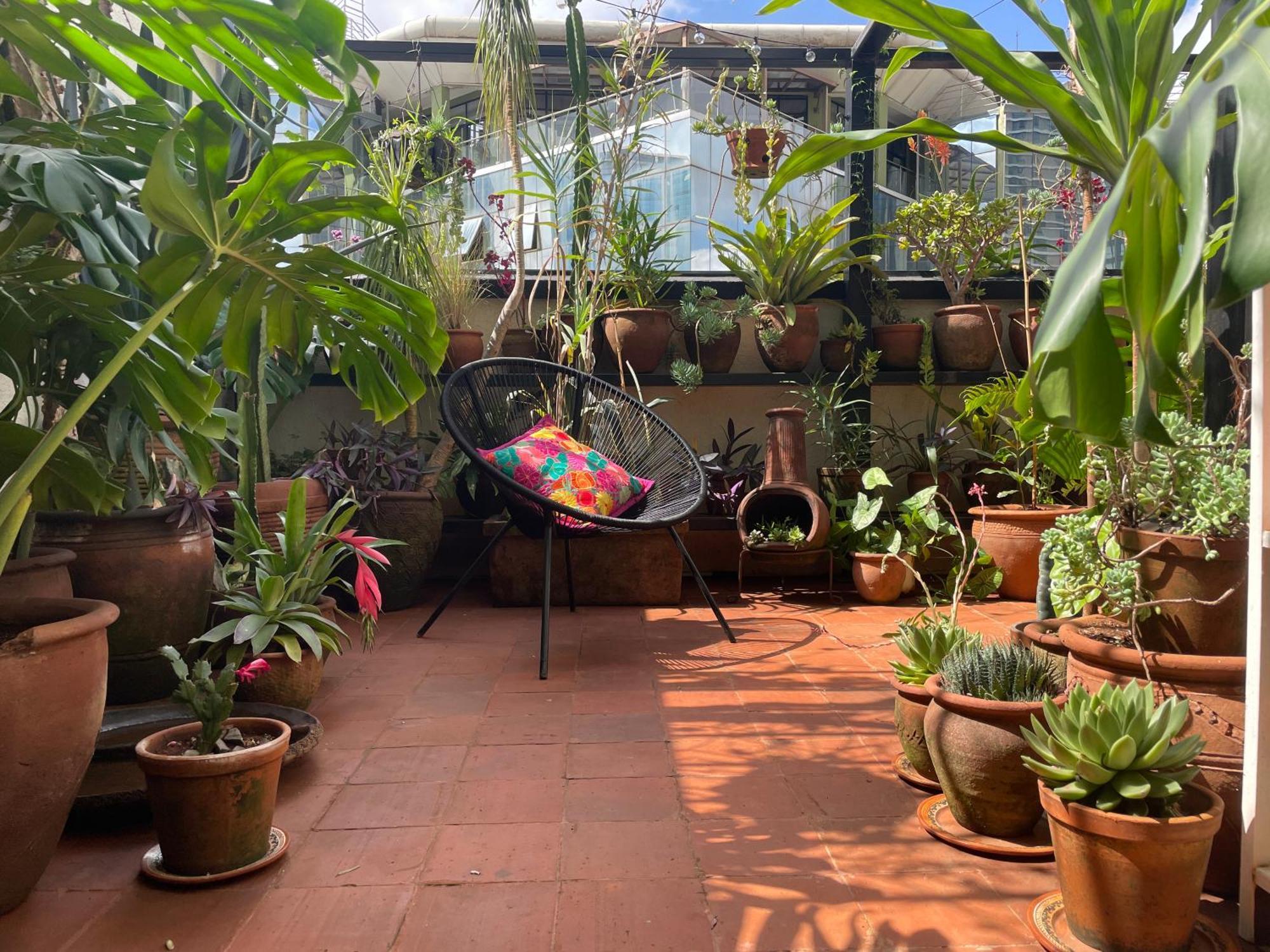 Apartamento New! Pocketparadise In Nairobi *