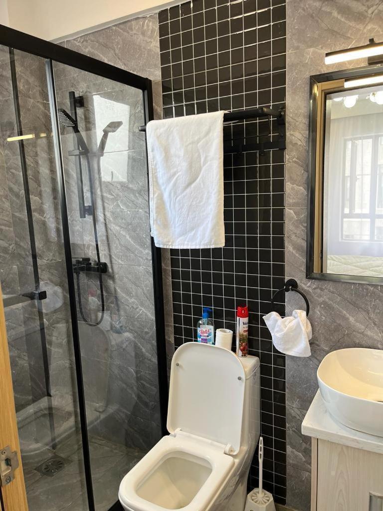 Executive Fully Furnished With Luxurious Facilities Which Features A Breathtaking Views And Close Proximity To Major Shopping Malls Thus Offering A High End Lifestyle Nairobi