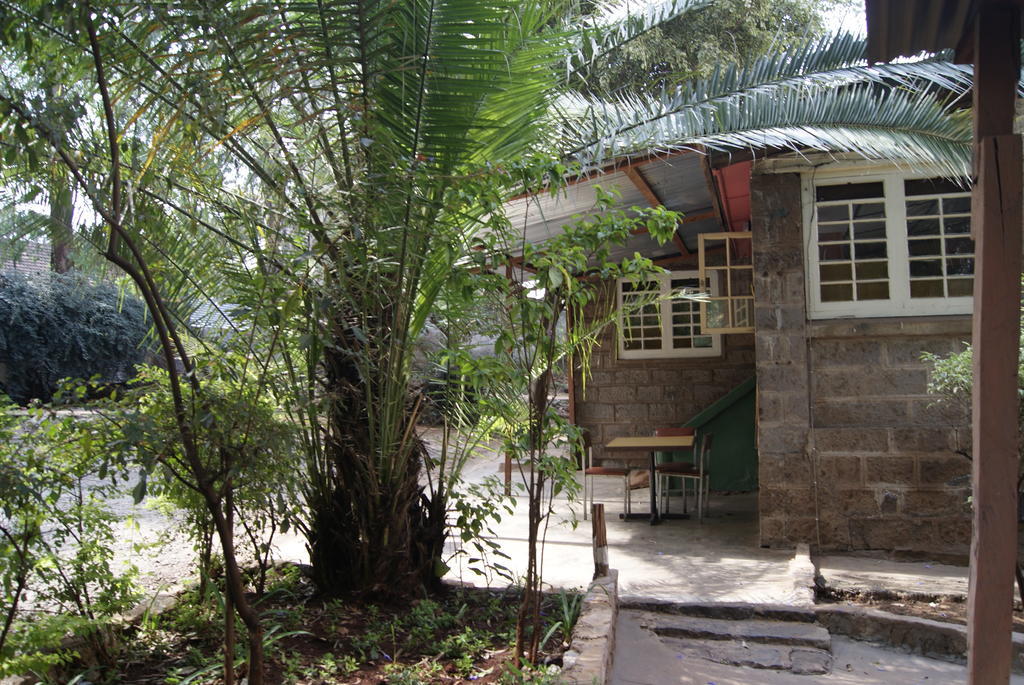 Hostel Manyatta Backpackers *