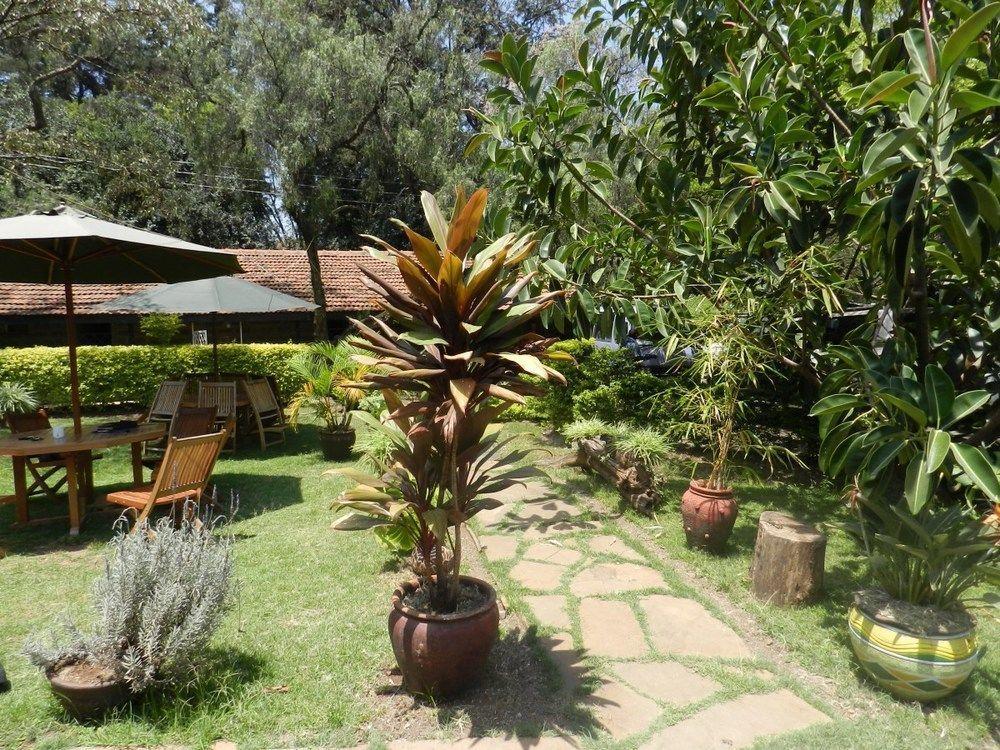 Hibiscus Hotel 2*