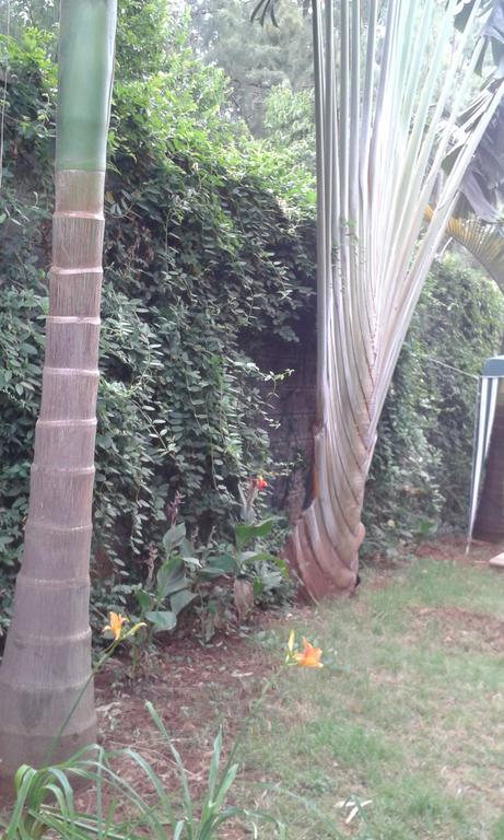 Hospedagem domiciliar Kilele Homestay Kileleshwa Nairobi