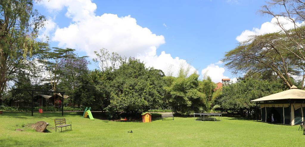Wildebeest Eco Camp Luxury tent 3*
