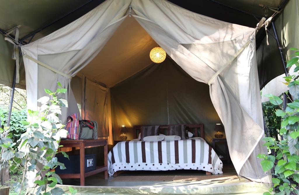 Luxury tent Wildebeest Eco Camp