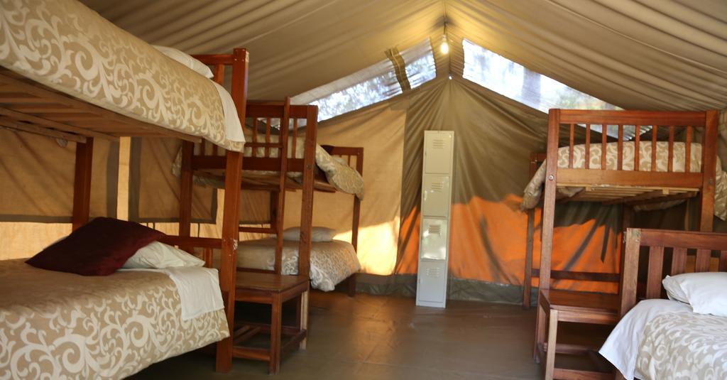 Luxury tent Wildebeest Eco Camp