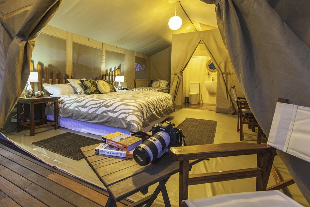 Luxury tent Wildebeest Eco Camp