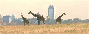 Lodge Tented Camp Nairobi