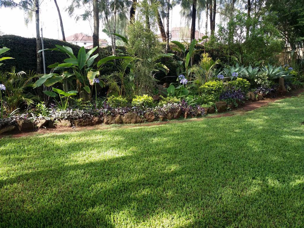 Margarita House Guest house 3*