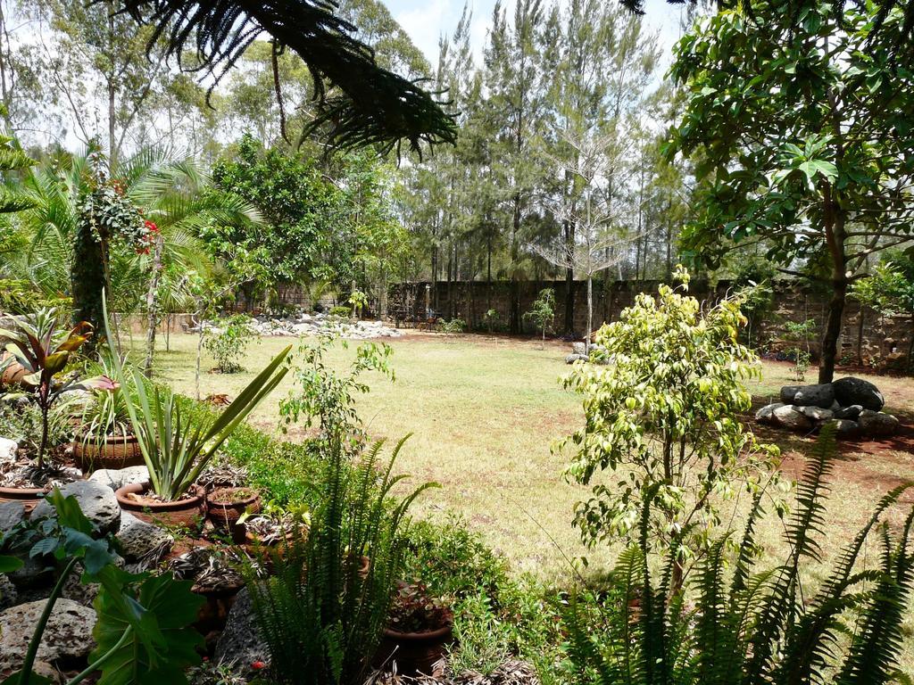 Bed & Breakfast Maison Mitwaba