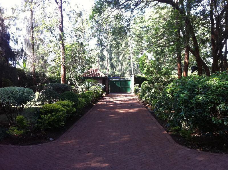 Hostel Milimani Backpackers *