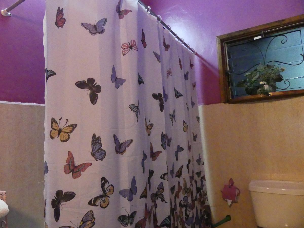 Lake View Studios Guest house 3*
